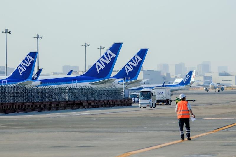 ANA tail fins