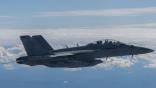 EA-18G Grolwer