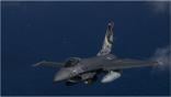 AFIF_Portuguese