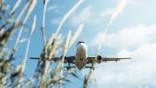 airplane flying over meadows
