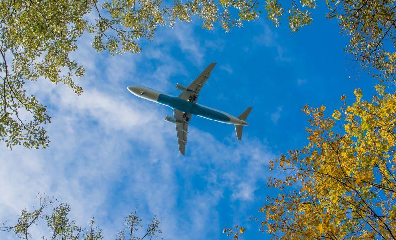 Airplane flying among the trees