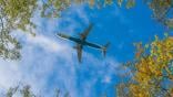 Airplane flying among the trees
