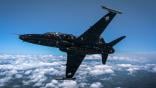 Hawk