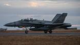 malaysia hornet