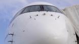 Close-up of front of Airbus jet