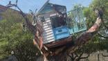 art installation of house in artificial tree